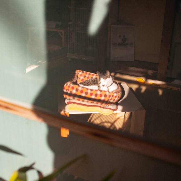 Ab85a83b f787 41dc a006 2c9b65f8c205 1548246742347