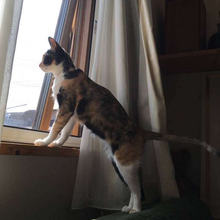 Ab85b150 17d0 4477 9524 250f70e1466a 1520746662743