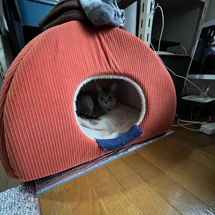 Ab85b741 2ba6 4e4c b6a1 185825ccd1c4 1708647589297