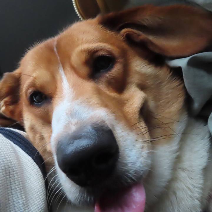 Ab85cd5a d48a 47e9 a9f4 ef4169f28ed7 1667056993391