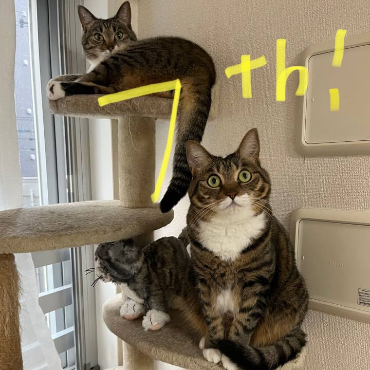 Ab8639eb 2967 45d7 b307 fdd883c37c0e 1686535784296