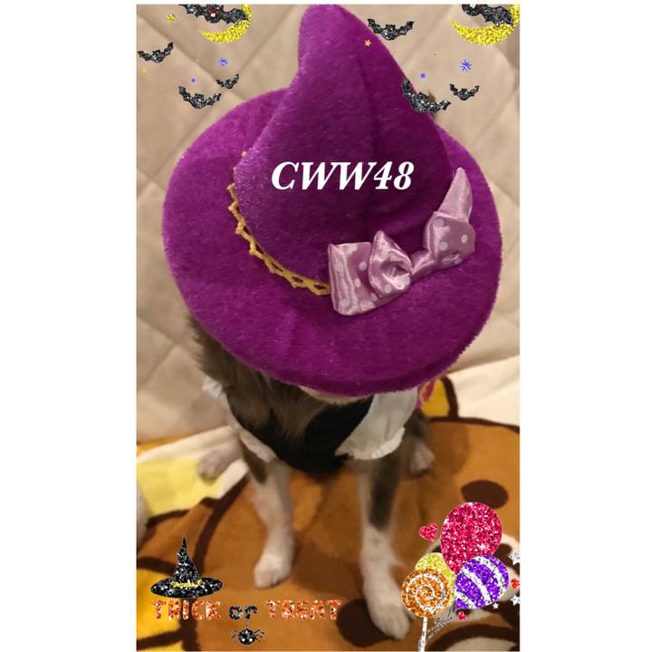 Ab864498 818f 4fc9 9513 8a6984b38a53 1509399459143