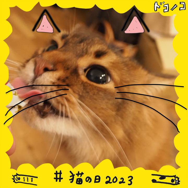 Ab865709 cf54 4c9d 8193 addd53f931ec 1677070040929