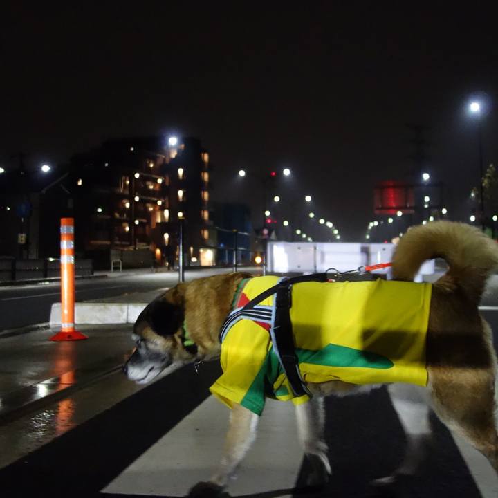 Ab86605e fcd4 4558 927e b1c736d20b8e 1551612200813