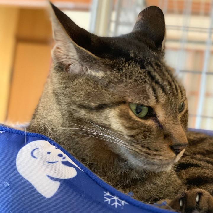 Ab866820 f182 447c a1d3 ca2e45795b97 1569631552344