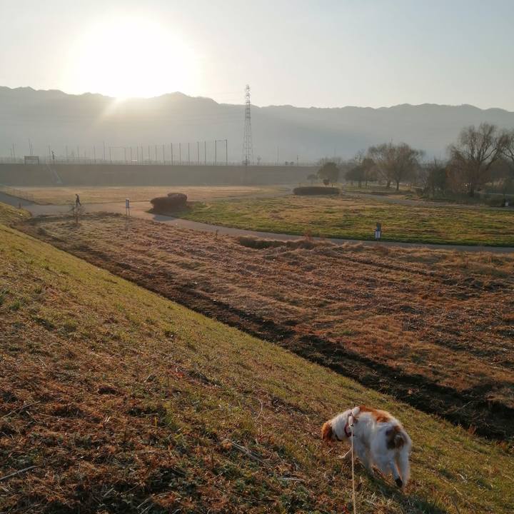 Ab86721f bc84 4aa1 9cd3 efe4b3b13a4a 1613176375220