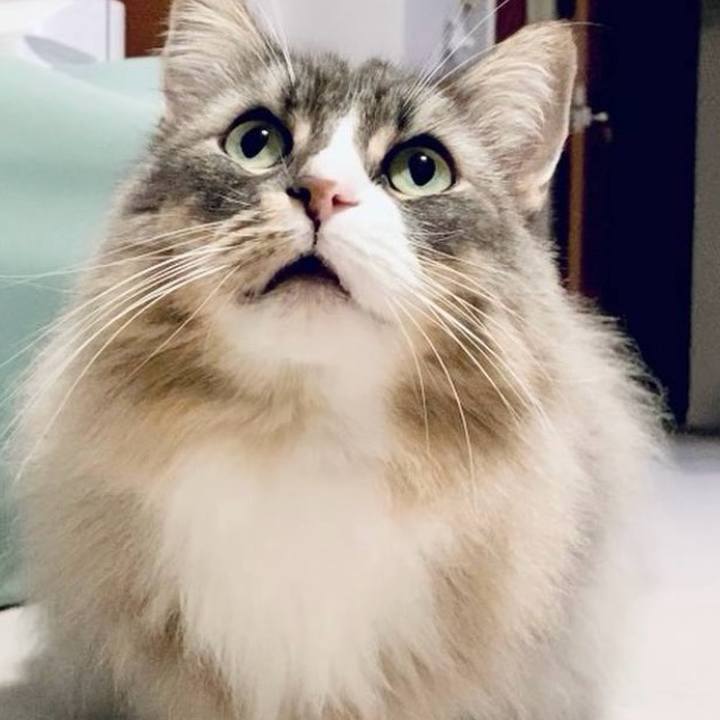 Ab867e7b b739 4b98 91ba 6d68a11e63a6 1757691315674