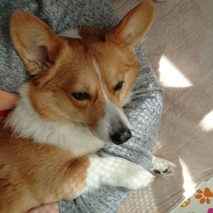 Ab86aa9f b74e 43ee bf7a 88480525ad8d 1518595321036