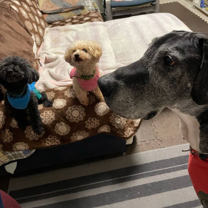 Ab86ad19 a567 4f82 be2c d02e4d17b1d0 1644444301225