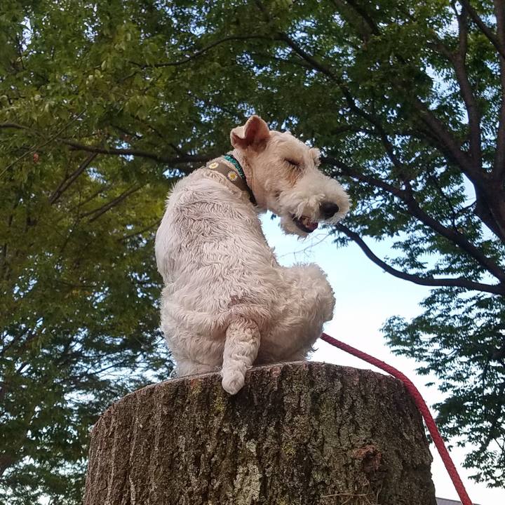 Ab8707f0 f070 4ed7 8fc0 c9d5b78c855e 1614956313024