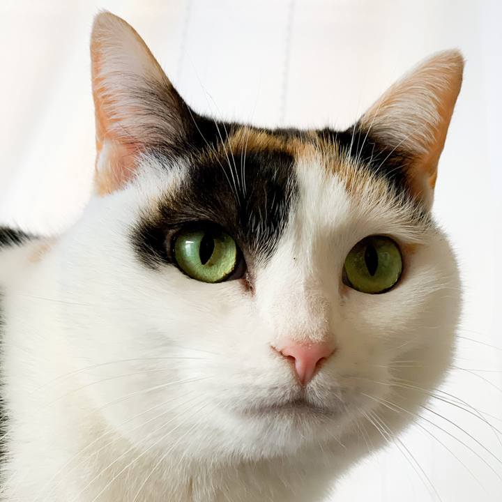 Ab871009 d38c 4f8c 8172 71af56f377e1 1581992190266