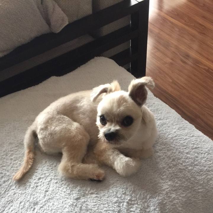 Ab871e22 7a43 4180 a866 c2f3b6ff22fc 1533640409652