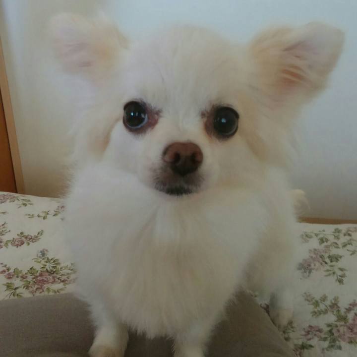 Ab874948 8e2c 48a0 8975 0de96479c36d 1508046346483