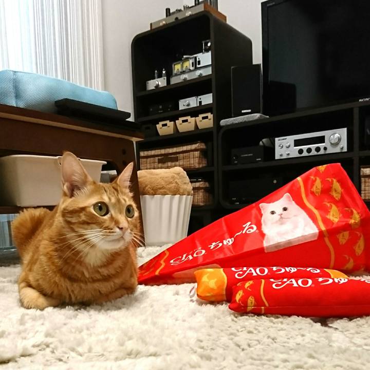 Ab875574 187f 4d88 bcb0 406bdd671635 1529582707059