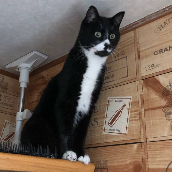 Ab875ce7 d8a9 4a9a b773 c7d1439799bd 1556431055708