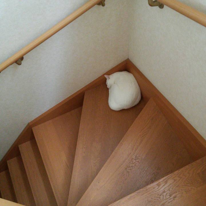 Ab876aa9 7a47 47e6 abbf 1ec5a3956d9b 1527552711202