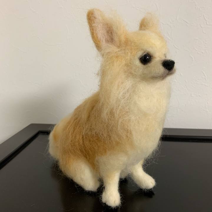 Ab877df1 f10a 49d4 9721 091a9afd8977 1587822044304