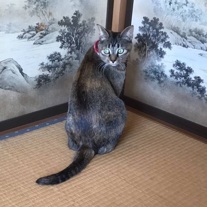 Ab87df6c 131d 43cb 831d 732b994b9401 1613014643863