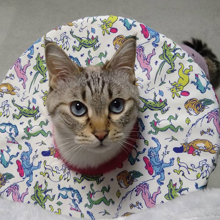 Ab881029 c8bc 4fdd 831f 63fa2765d63c 1743250813688