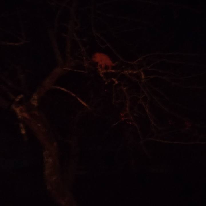 Ab8812d3 6cfb 4274 863e f35bb0c6f7f2 1667988004495