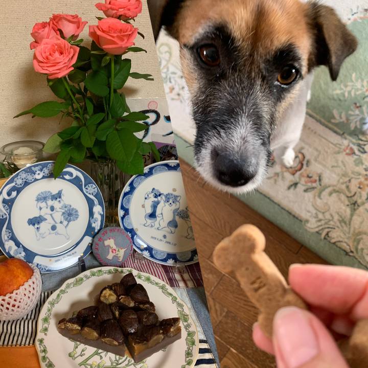 Ab886483 0dc9 4dc0 ae05 796ae66f33bb 1568729717458