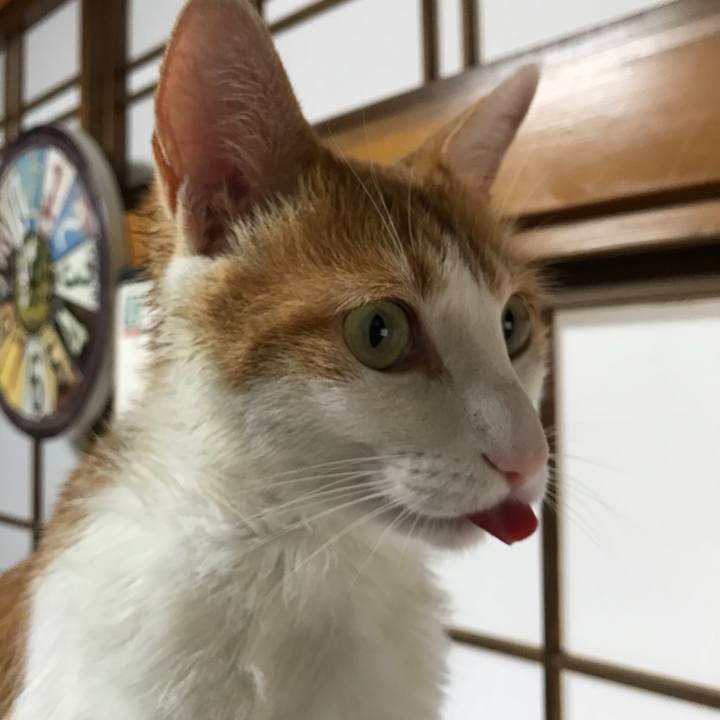 Ab88cf44 dcc4 4277 96a9 7d9711561926 1508133206398