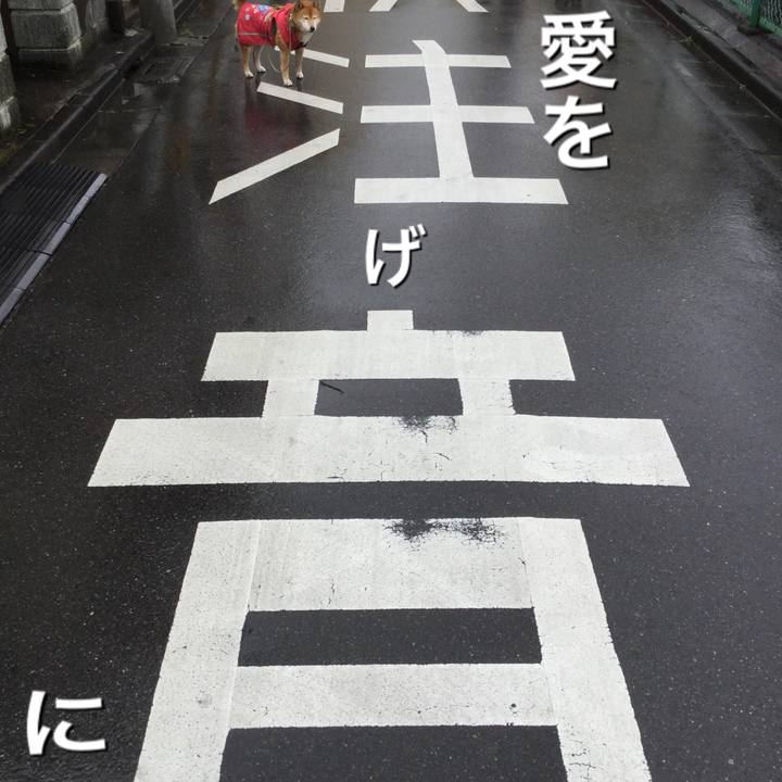 Ab88d427 db1f 4823 bff5 c349d2c00555 1583812208430