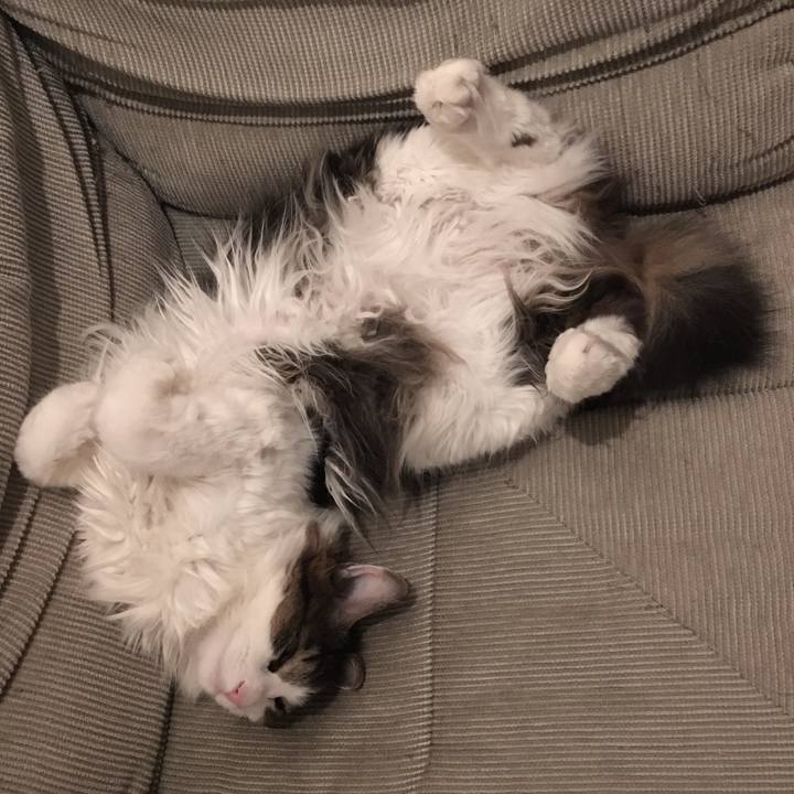 Ab88e7b4 eaa3 4700 b687 87169048cbb1 1551183294405