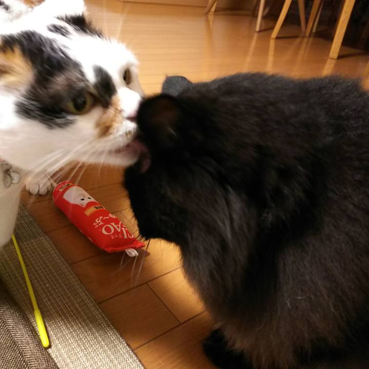 Ab88ece9 4032 4cfb 9ed8 0177e1a75a56 1563877731171