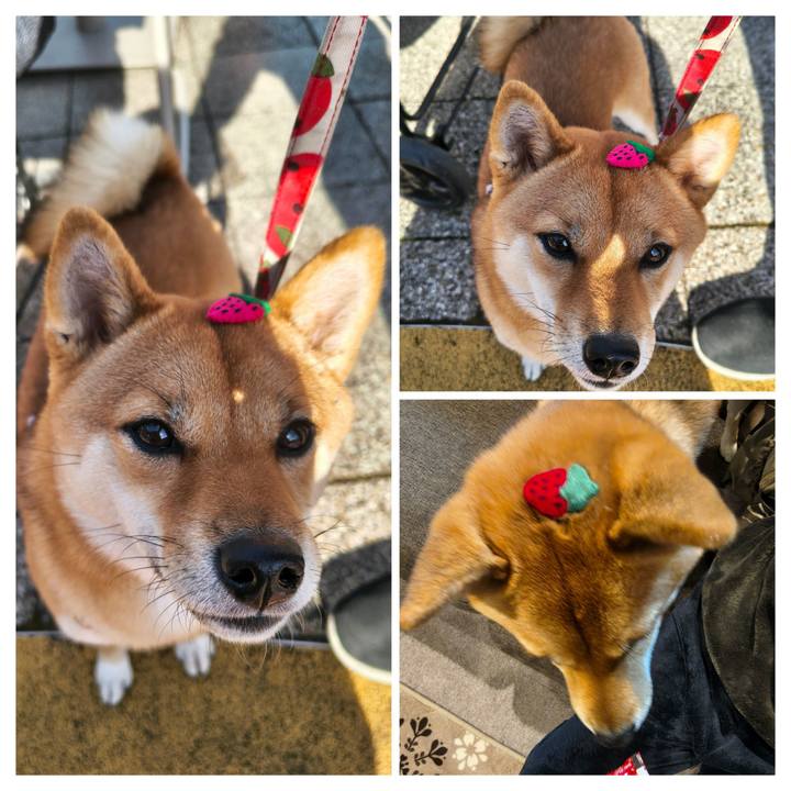 Ab894e69 f424 4649 a78d 8e96f93b5102 1763954397897