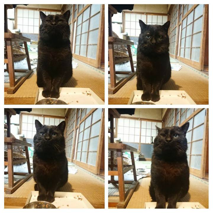 Ab895949 8719 4f42 b92e 588b7a993d8b 1617881383946