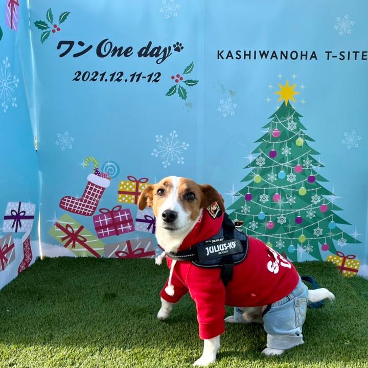 Ab896370 c1d7 487c 8402 1ec7201b634f 1639308318490