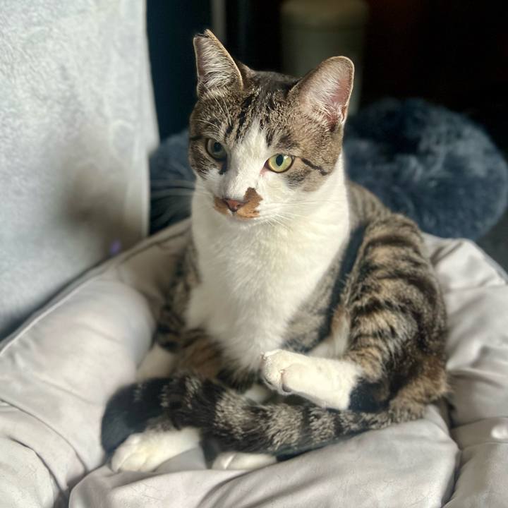 Ab896c83 5377 45c3 b51e 787537070478 1764073070263