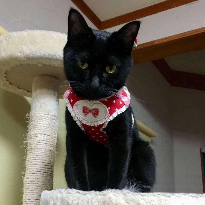 Ab89773e e753 4984 bd70 014cf152caad 1521470679677