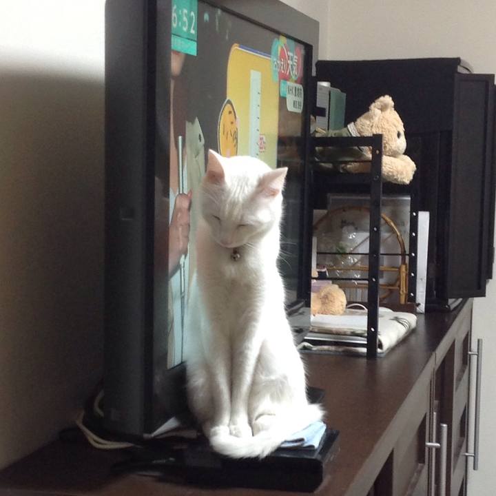 Ab898883 41fa 4512 b109 8dc49335575c 1638266114292