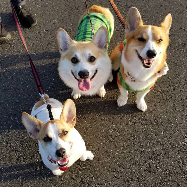 Ab89999c b87b 41e5 b2fc aaf51e7d1d79 1565224452362