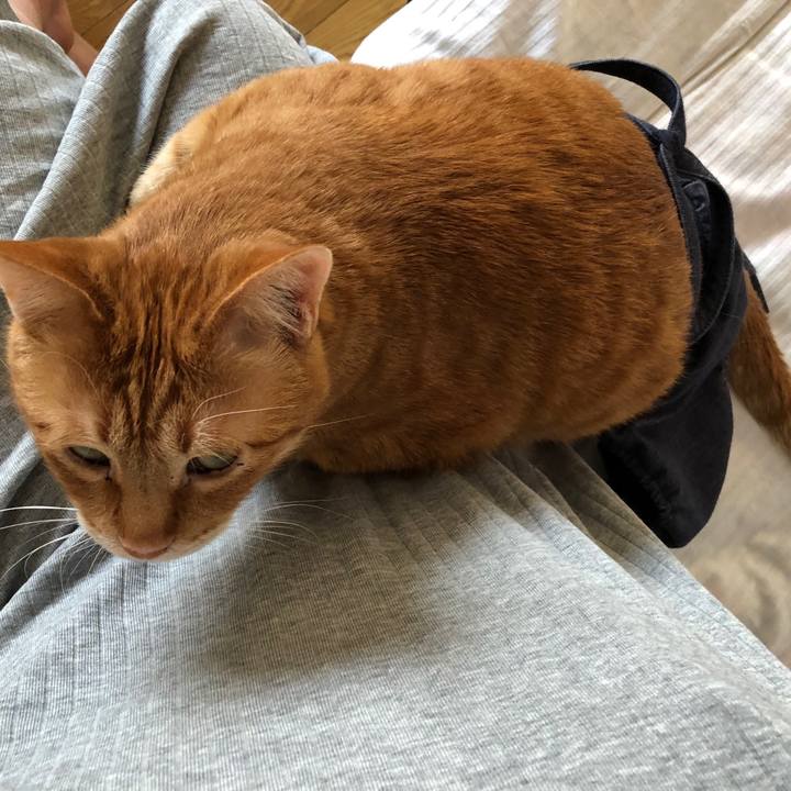 Ab89a8f9 e5d5 47fb a2ee 540069857d67 1584136665265