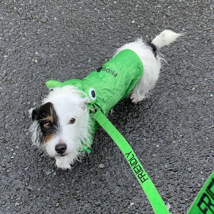 Ab89ceb5 fc1e 4350 9671 408246e15a59 1631153727134