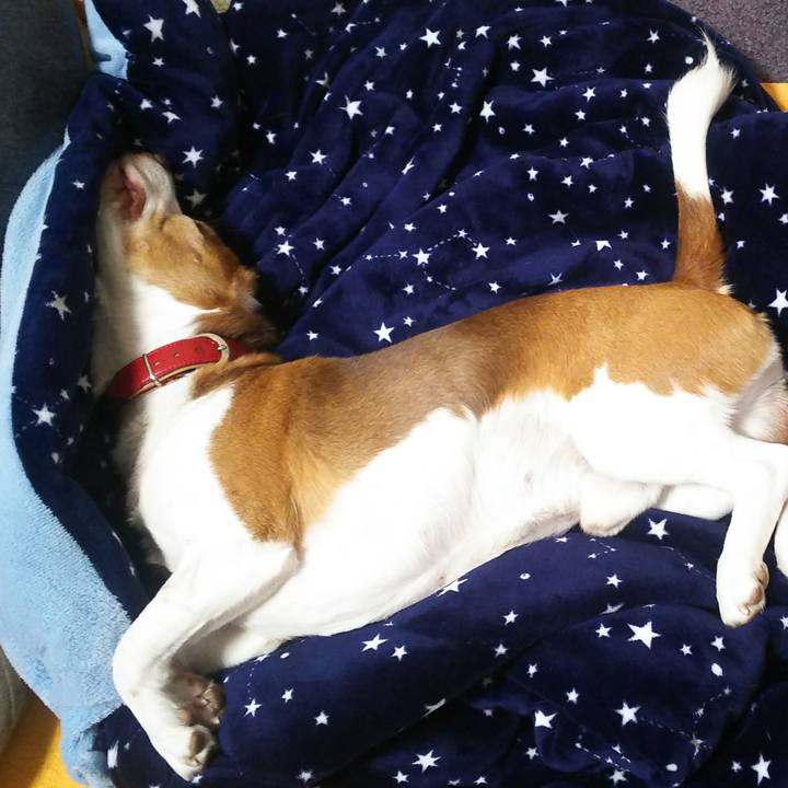 Ab89d30f 1093 4d04 a011 a920a9371e0a 1637333469530