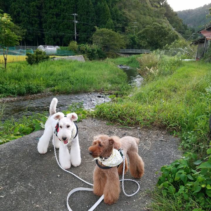 Ab89e664 47fc 4c72 8c76 3a0a6a0dc62f 1567859773364