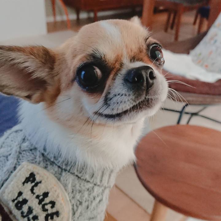 Ab89ec40 3f57 45df a4bb b690e98e90f6 1576192636187