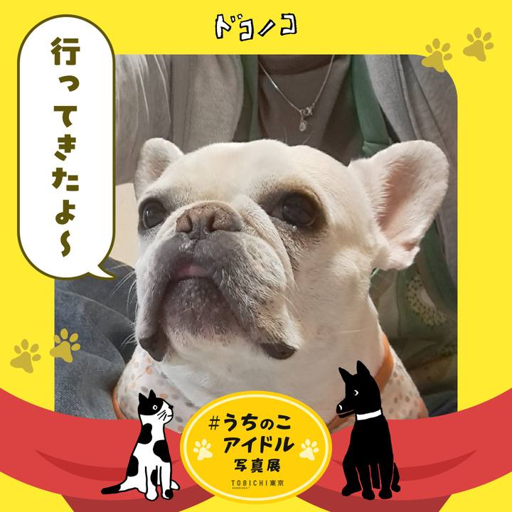 Ab8a1113 38ae 40f4 b0f2 99b48a78178d 1761174414897