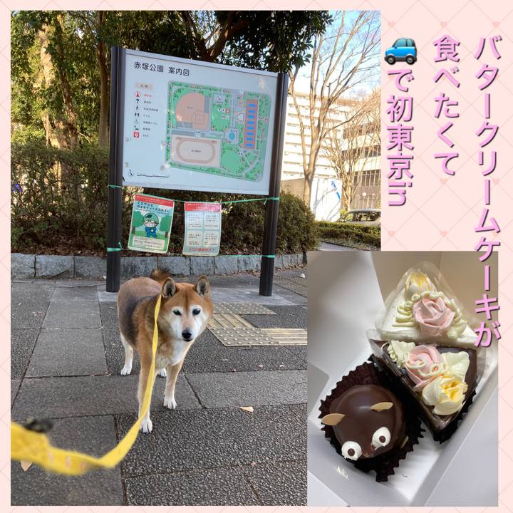 Ab8a6755 28df 4c96 bf10 4c98a8187676 1640669567110