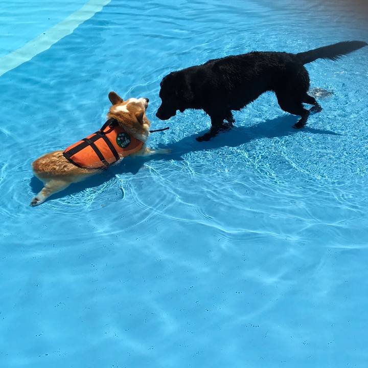 Ab8a676b c2e2 4f2f b8ed e3e4c5fe36ec 1558761454539