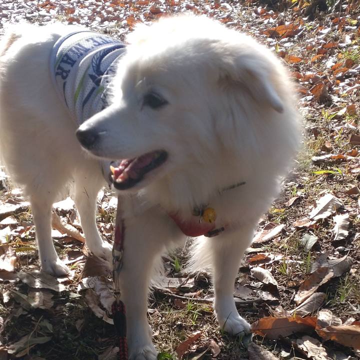 Ab8a6e26 f222 41bc 99a2 bc59bd6db8dc 1670032228313