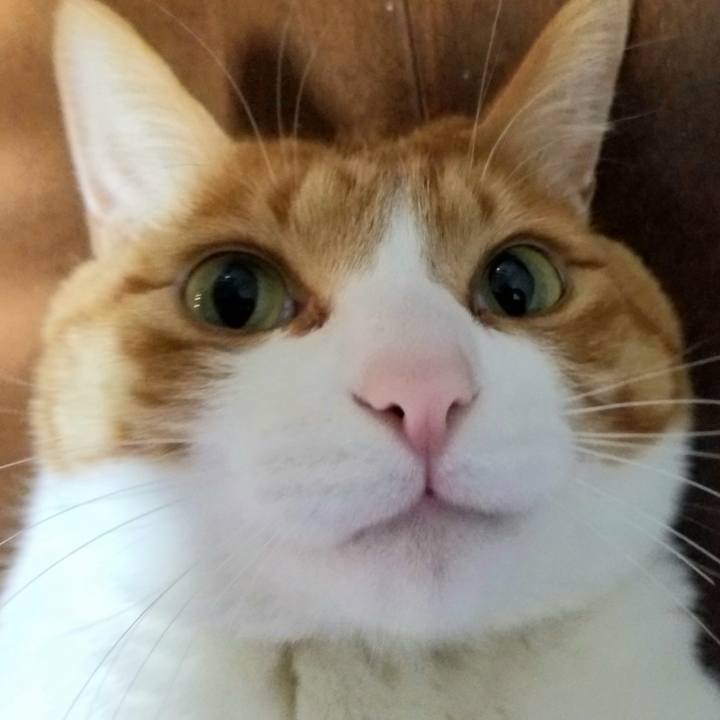 Ab8a73f9 4212 4db0 8cd5 a4582afa9836 1761050630065