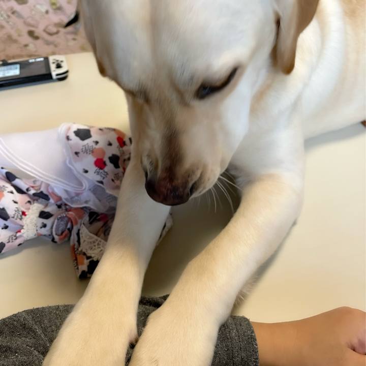 Ab8aab2e c2ff 484d abcb 53386a5b687f 1650102939835