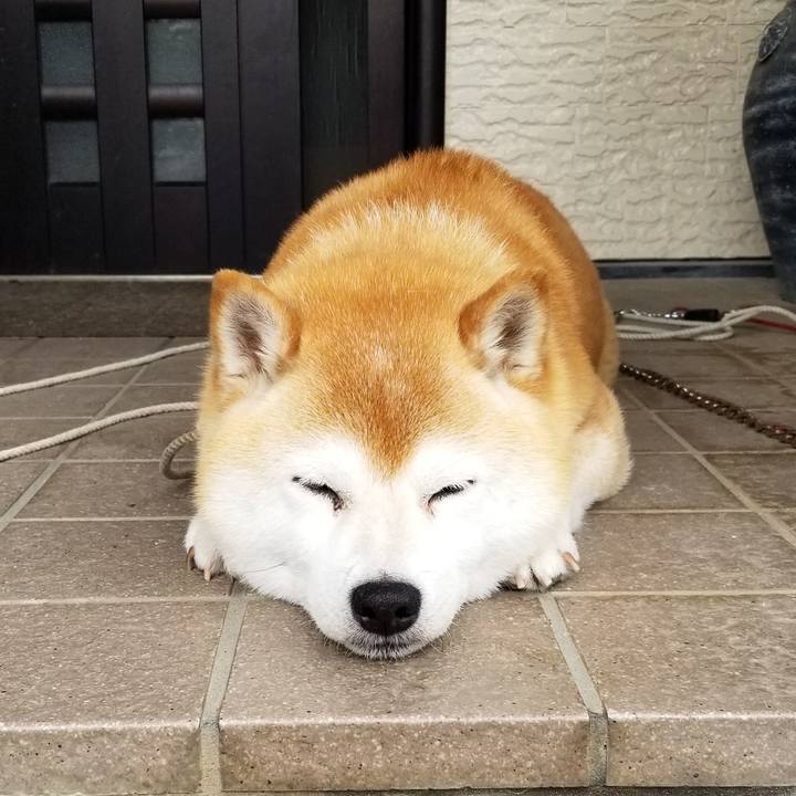 Ab8ab736 4d86 450a adc4 9c32351359a7 1655335303934