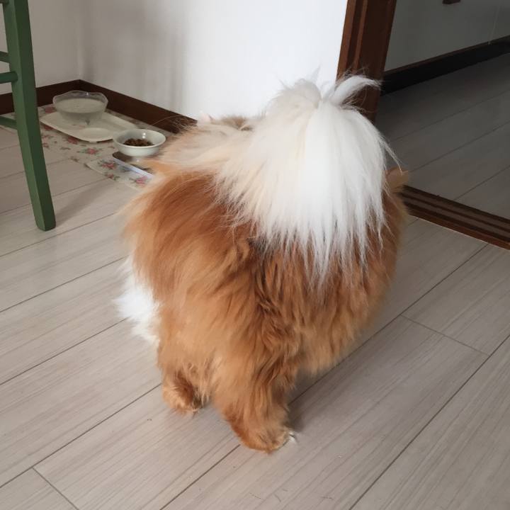 Ab8acf82 c177 48b6 8978 2038e95f6cbf 1517869434536