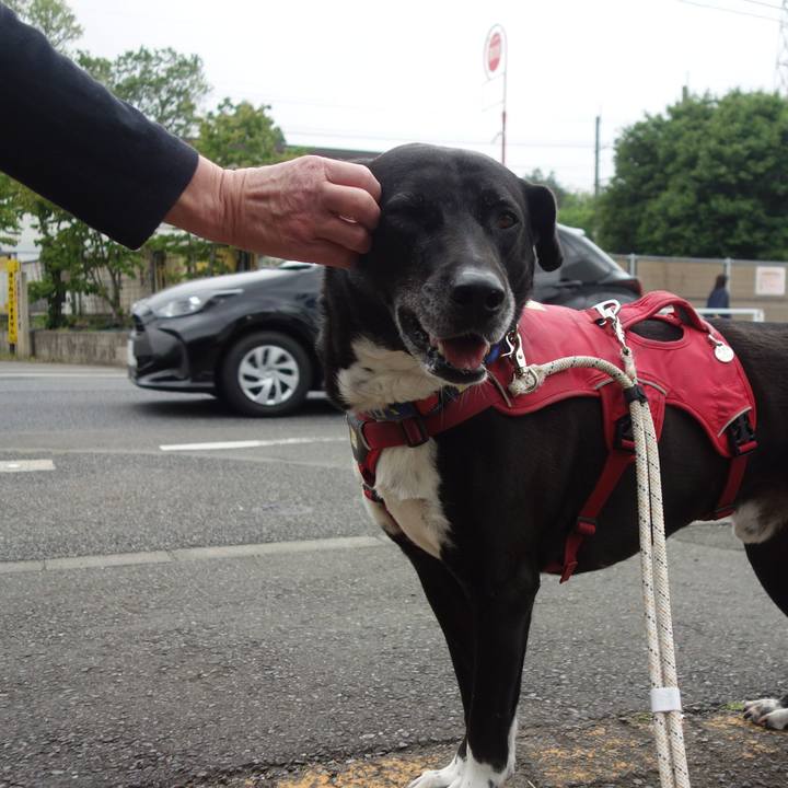 Ab8aebce e597 4292 8c57 fdb6acb550cc 1683937275931